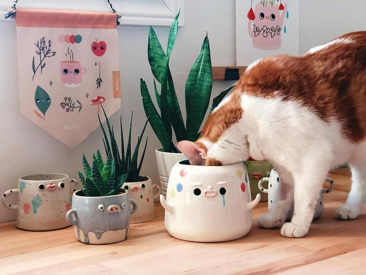 featured image of cat looking into a ceramic pot